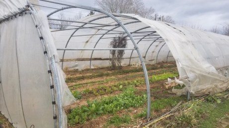 tunnel M2 © Lucie de Framond